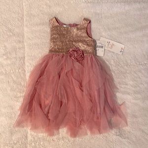 NWT Biscotti Baby Pink and Gold Party Dress 24M